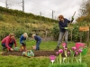 Vraag nu gratis Polder Pink tulpenbollen aan