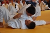 Judo carnavalstoernooi