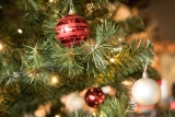 Inleveren kerstbomen op 9 januari