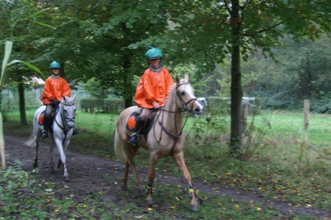 Uitslag terreinrit Bremerbergbos