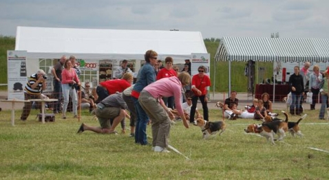 Eerste editie BeagleSpektakel groot succes