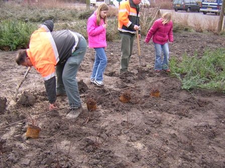 Ook Boomplantdag aan Baan