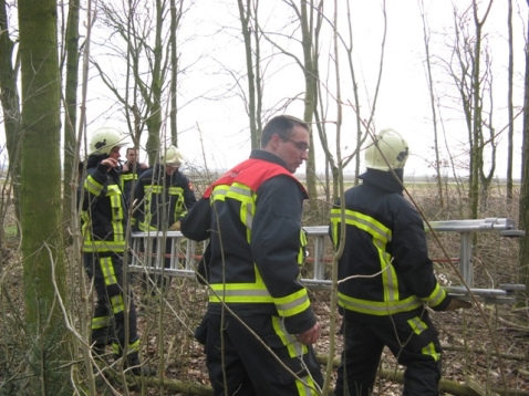 Brandweer redt kat uit hoge boom