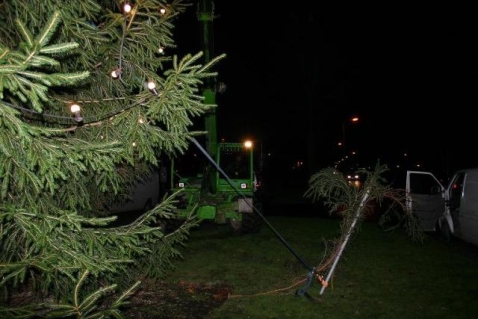 Kerstboom aan de Dreef