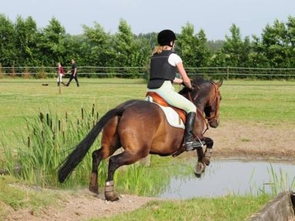 Oefencrossen in Biddinghuizen