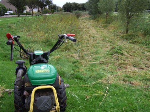 Groenvoorziening in Vogelvlucht