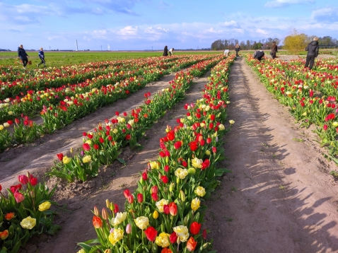 Speciale plukavond bij Hanneke's Pluktuin