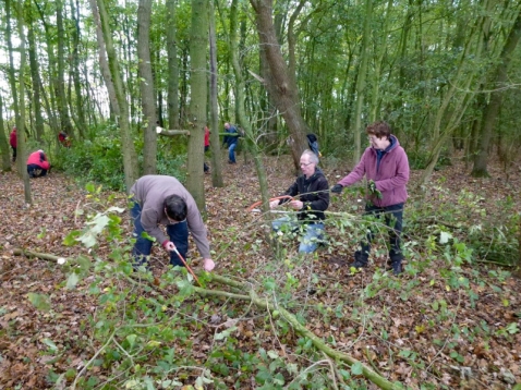 Aanmelding natuurwerkdag 2018 geopend