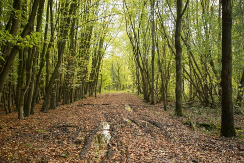 Steeds meer borden Natuurmonumenten beklad