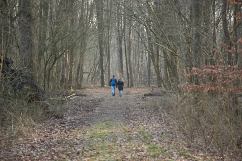 Natuurwandeling in Harderbos