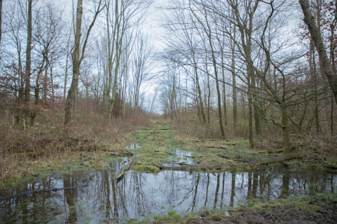 Natuurwandeling in Harderbroek