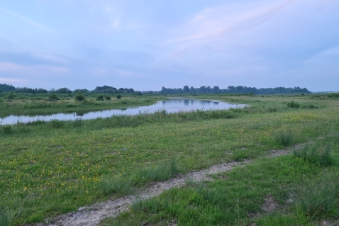 Flevoland krijgt 10 miljoen van Rijk voor natuurherstel