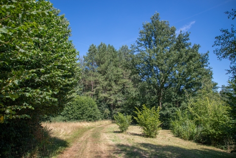 IVN Gastvrij in het landschap: De Randmeren