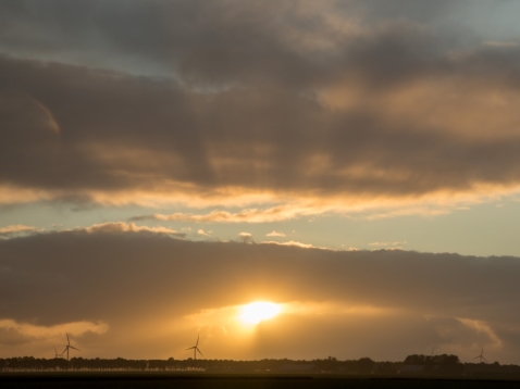 Provincie wil toch zonneparken in landelijk gebied