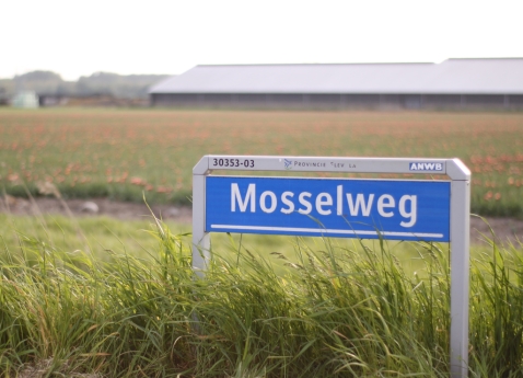 Boerenlunch bij Familiebedrijf van der Wijngaard