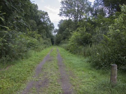 Zijactief maakt natuurwandeling