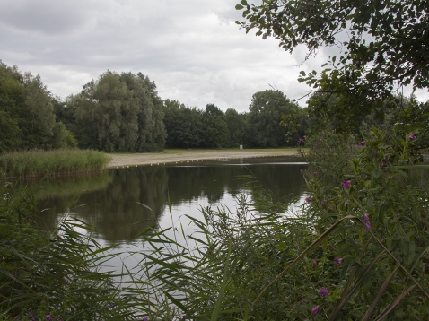 Natuurwandeling bij Spijkvijver