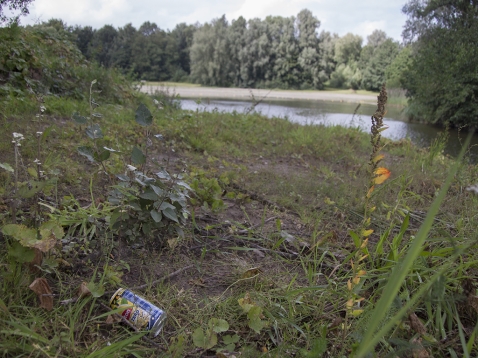 Gezocht: verenigingen voor opruimacties langs de Randmeren