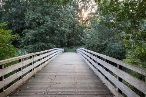 Natuurwandeling in Dorpsbos Biddinghuizen