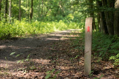 Natuurwandeling Ellerslenk op 26 september