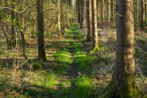 Vernieuwend Initiatief Prijs Flevoland van start