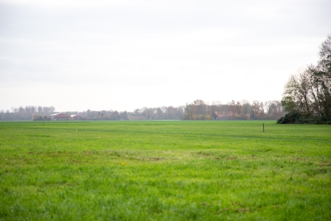 Ontwikkeling tiny houses gestart