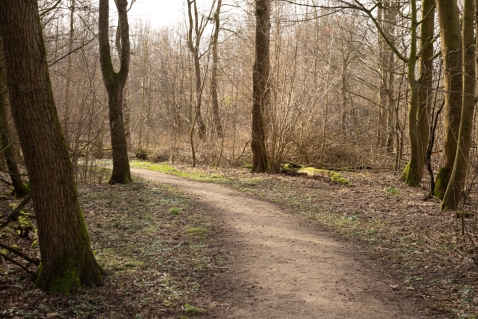 Uitvoering werkzaamheden bos Biddiinghuizen