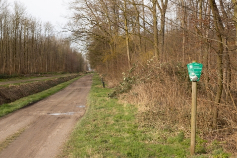 Werkzaamheden puinpaden bos Biddinghuizen