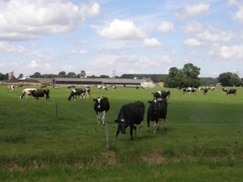 Vaststellen Agenda Vitaal Platteland