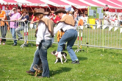 Agility For Fun tevreden over Koninginnedag