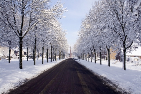 Sneeuw zorgt voor prachtkiekjes