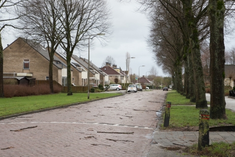 Storm waait over Biddinghuizen