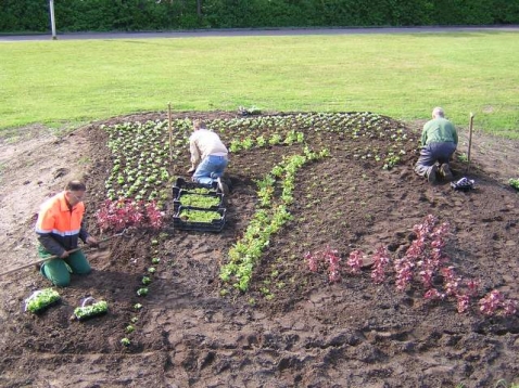 Dorpsvlag en logo in bloemen weergegeven