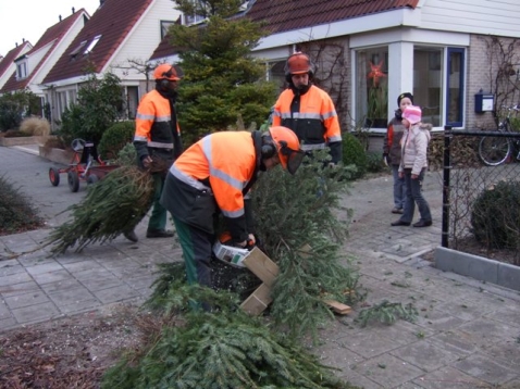 In Vogelvlucht: Kerstbomen versnipperen