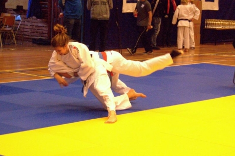 Verslag Dedemsvaart BAS judo