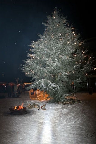 Biddinghuizen in kerstsfeer