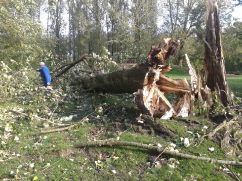 Staatsbosbeheer waarschuwt voor vallende takken