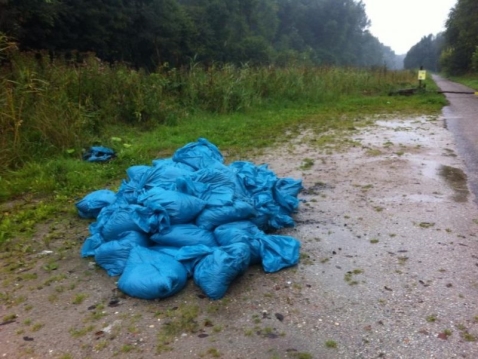 Dumping wietafval in Harderbos