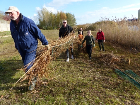 Meer dan duizend handen in actie op Natuurwerkdag Flevoland