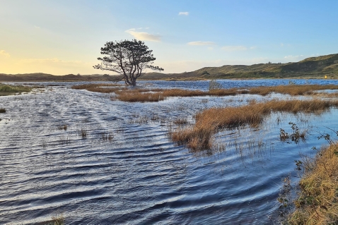 Code geel in Flevoland voor zware windstoten