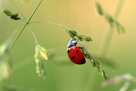 Tegels er uit voor je eigen natuurgebiedje. Gratis grond en planten zaterdag 25 mei