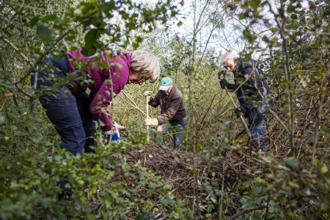 Natuurwerkdag in Biddinghuizen op bedrijventerrein