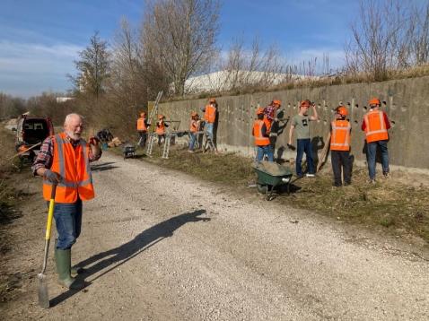 Vrijwilligers helpen oeverzwaluwen in Flevoland