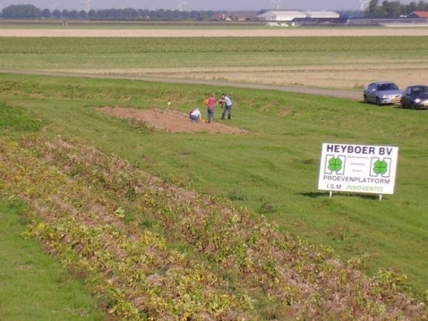 Gratis oprapen van aardappelen en uien