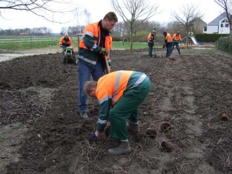 In vogelvlucht: De vlindertuin