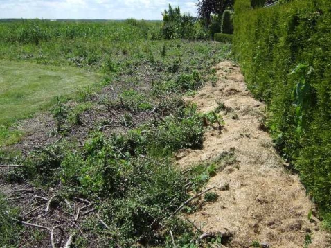 In Vogelvlucht: Storten van tuinafval in openbaar