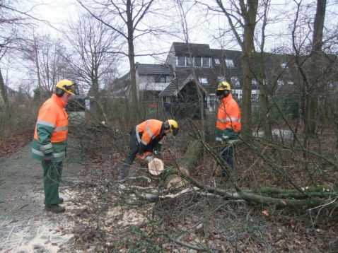 In Vogelvlucht: onderhoud bosstrook De Baan